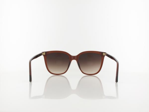 Calvin Klein | CK23506S 200 53 | brown / brown gradient