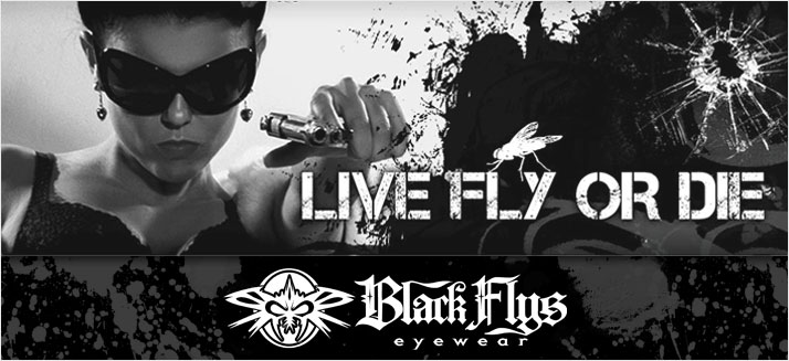 Black Flys
