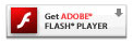 Get Adobe Flash player