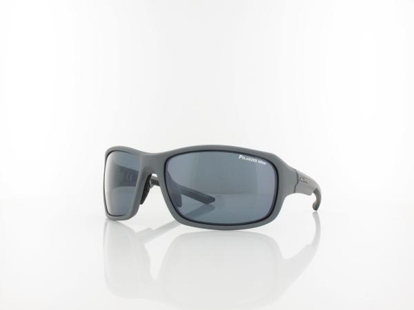 ALPINA | Lyron P A8628 525 65 | grey matt black / PM black