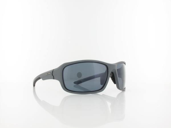 ALPINA | Lyron P A8628 525 65 | grey matt black / PM black