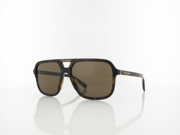 Dolce&Gabbana | DG4354 502/73 58 | havana / brown