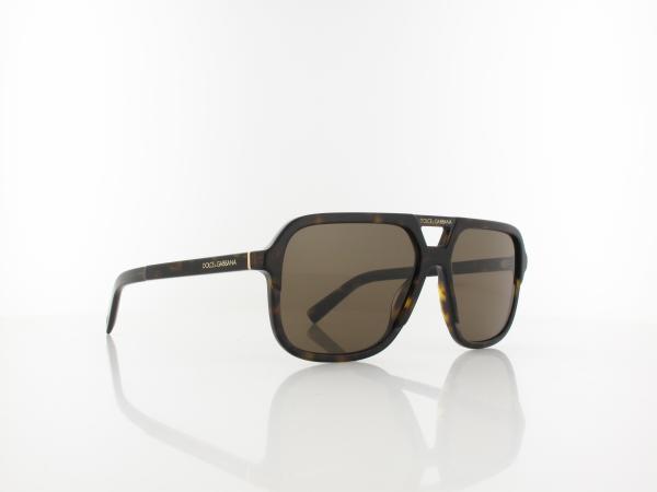 Dolce&Gabbana | DG4354 502/73 58 | havana / brown