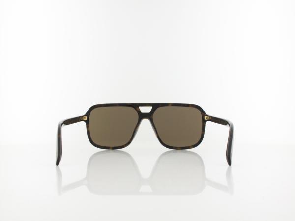 Dolce&Gabbana | DG4354 502/73 58 | havana / brown