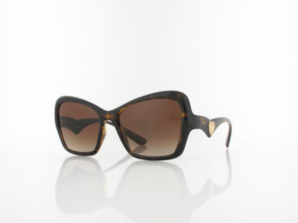 Dolce&Gabbana | DG6153 502/13 55 | havana / gradient brown