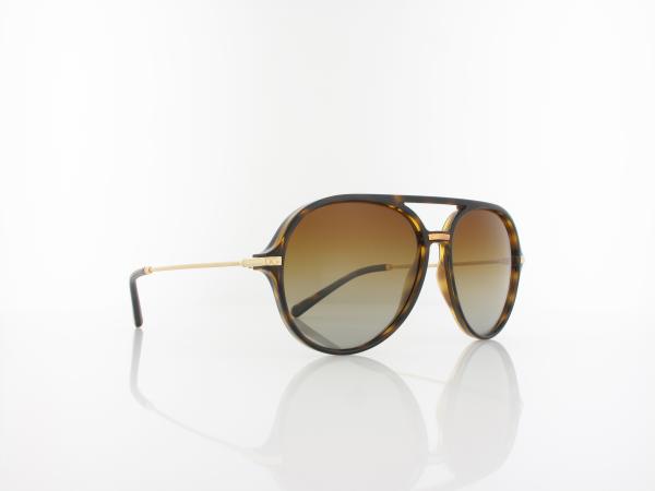 Dolce&Gabbana | DG6159 502/T5 58 | havana / polar brown gradient