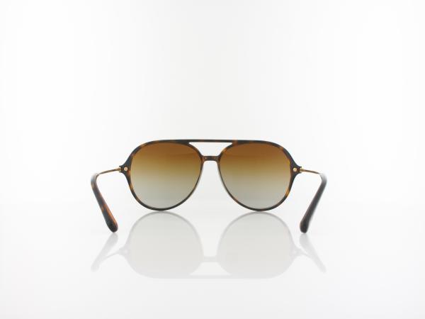 Dolce&Gabbana | DG6159 502/T5 58 | havana / polar brown gradient