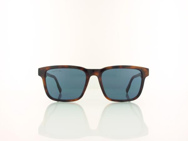 Lacoste | L997S 214 54 | havana / blue