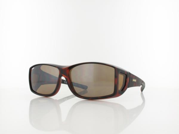 UVEX | Ultra Spec L S530501 6616 64 | havanna / litemirror brown