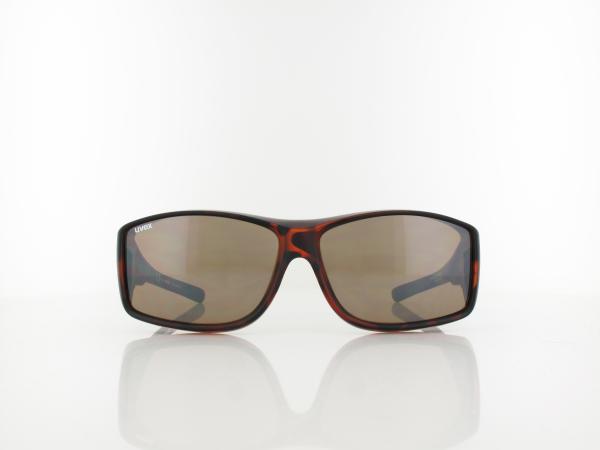 UVEX | Ultra Spec L S530501 6616 64 | havanna / litemirror brown
