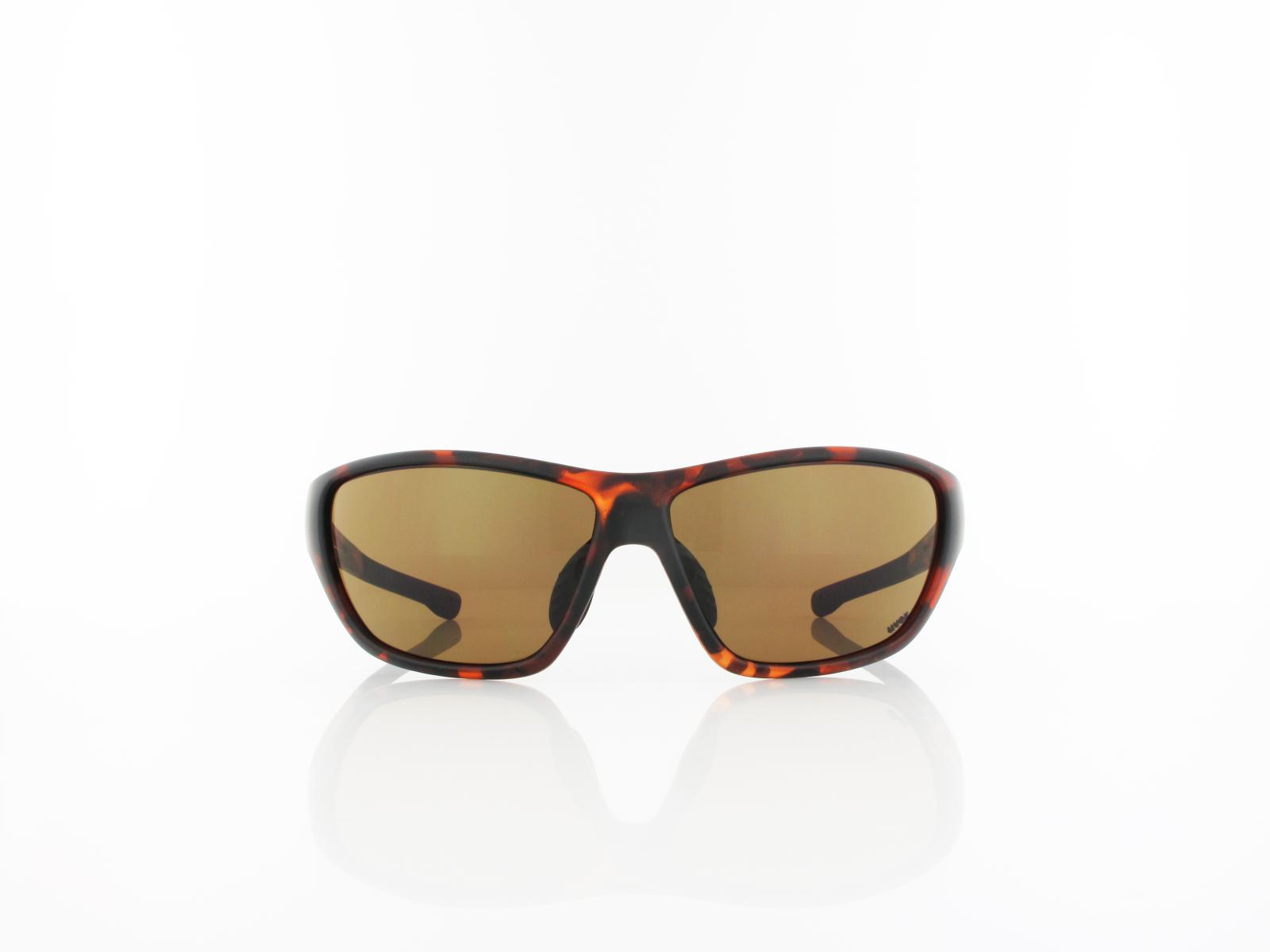 UVEX | RXd 4003 5400 9002 60 | havanna / brown