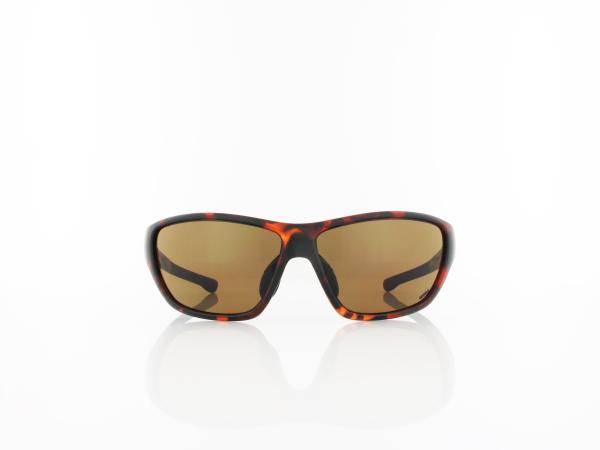 UVEX | RXd 4003 5400 9002 60 | havanna / brown