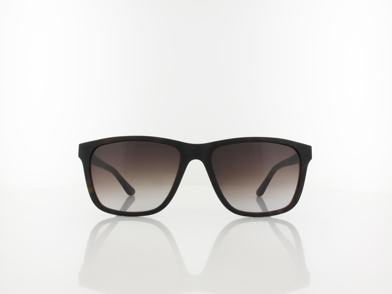 Wood Fellas | Focus Wood Acetate 11716 6868 56 | curled havana / brown gradient