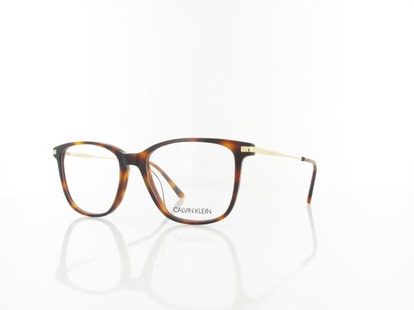 Calvin Klein | CK19711 240 53 | soft tortoise