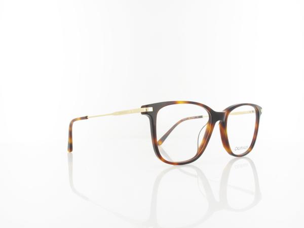 Calvin Klein | CK19711 240 53 | soft tortoise