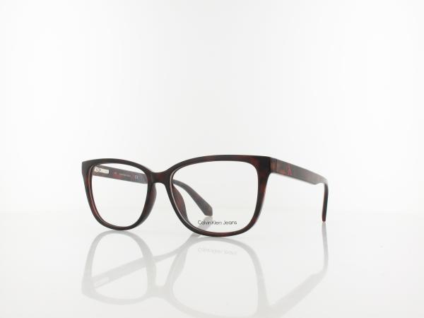 Calvin Klein | CKJ22619 240 54 | tortoise