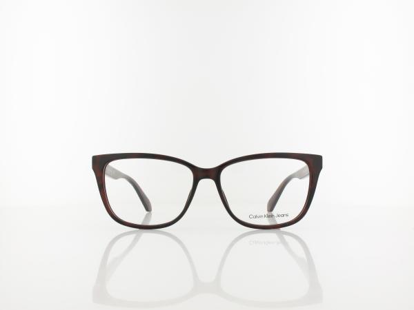 Calvin Klein | CKJ22619 240 54 | tortoise