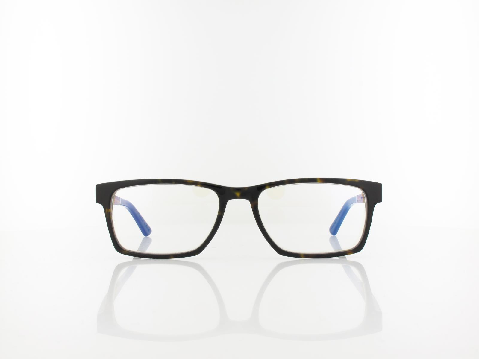 Wood Fellas | Maximilian Premium Wood Acetate 10999 6219 55 | walnut havana