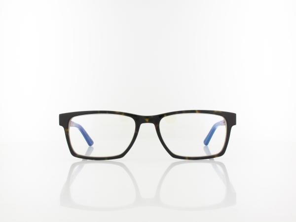Wood Fellas | Maximilian Premium Wood Acetate 10999 6219 55 | walnut havana