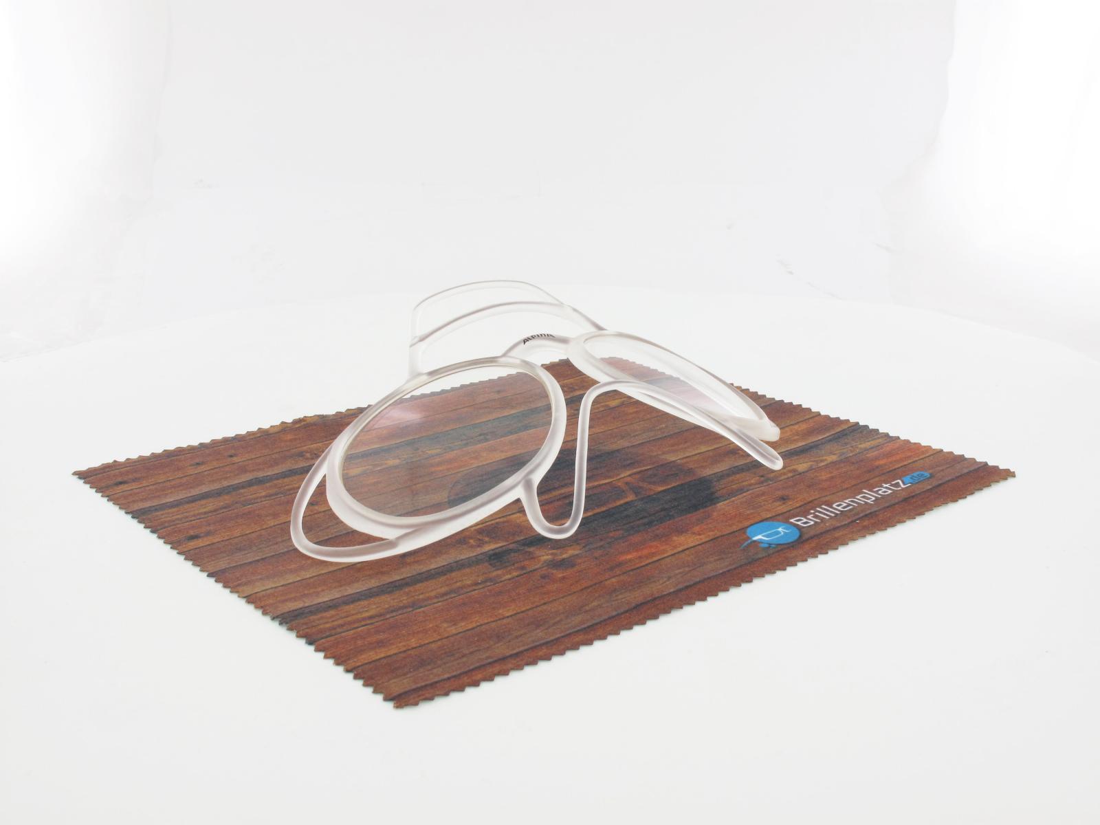 ALPINA | PSO Skibrillen Clip-In LARGE | transparent