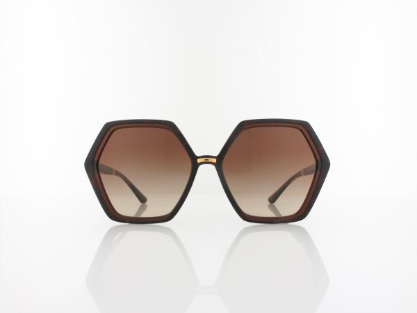 Dolce&Gabbana | DG6167 318513 57 | havana transparent brown / gradient brown