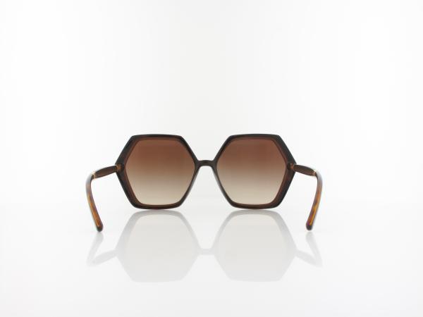 Dolce&Gabbana | DG6167 318513 57 | havana transparent brown / gradient brown