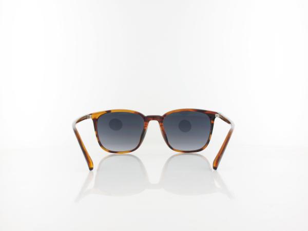 Fossil | FOS 3091/S 086/9O 53 | dark havana / dark grey gradient