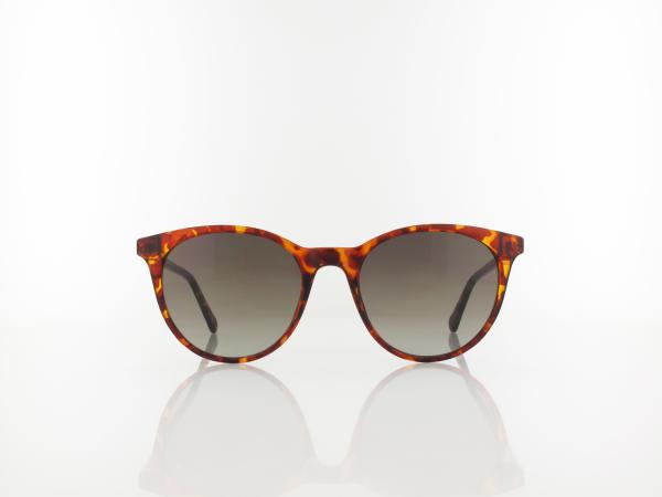 Fossil | FOS 3122/G/S 086/HA 53 | havana / brown shaded