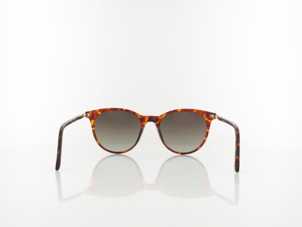 Fossil | FOS 3122/G/S 086/HA 53 | havana / brown shaded