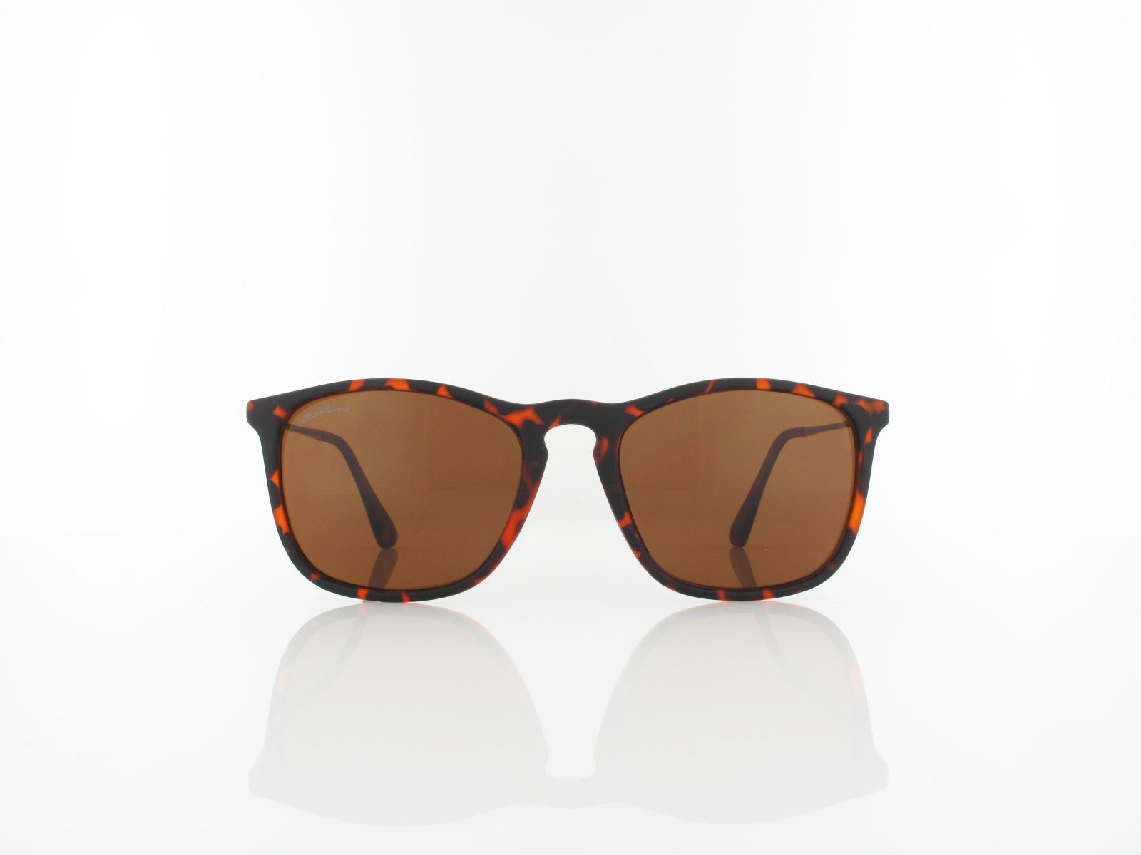Brilando | S34 F 54 | matte havana / brown