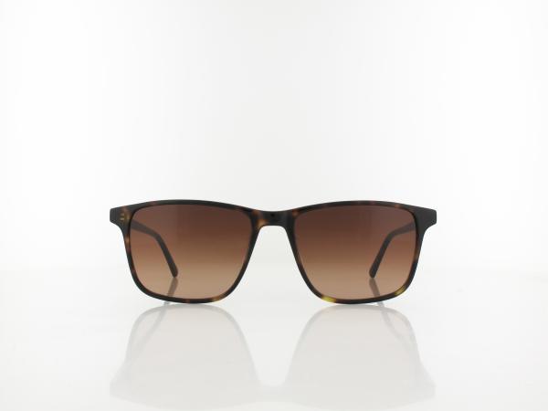 Brilando | Premium Sun S1060 55 | braun havanna / verlauf braun