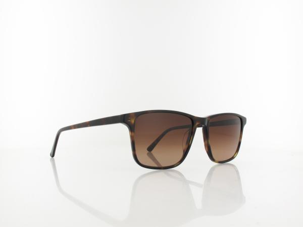 Brilando | Premium Sun S1060 55 | braun havanna / verlauf braun