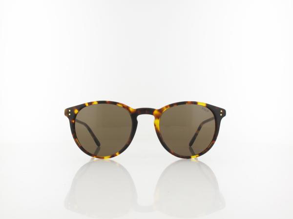 Polo Ralph Lauren | PH4110 513473 50 | shiny antique havana / brown