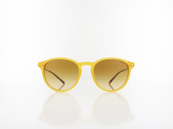 Polo Ralph Lauren | PH4169 50052L 51 | shiny honey / gradient amber
