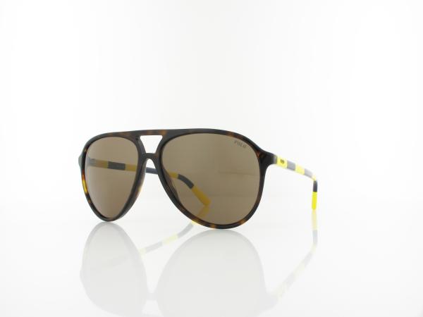 Polo Ralph Lauren | PH4173 500373 59 | shiny dark havana / brown