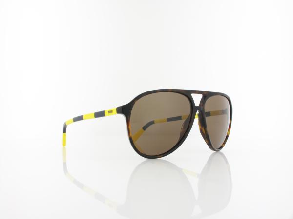 Polo Ralph Lauren | PH4173 500373 59 | shiny dark havana / brown