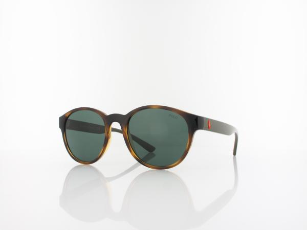 Polo Ralph Lauren | PH4176 500371 51 | shiny havana / dark green
