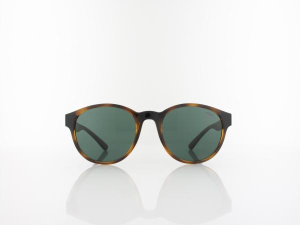 Polo Ralph Lauren | PH4176 500371 51 | shiny havana / dark green