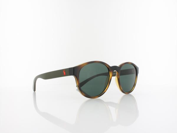 Polo Ralph Lauren | PH4176 500371 51 | shiny havana / dark green
