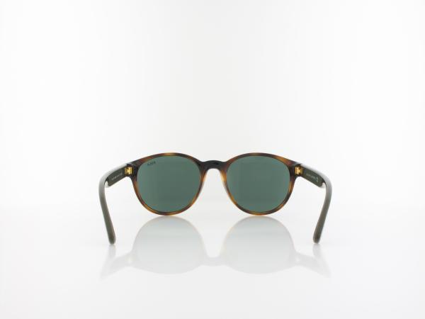 Polo Ralph Lauren | PH4176 500371 51 | shiny havana / dark green
