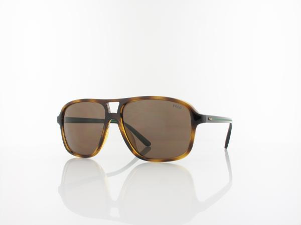 Polo Ralph Lauren | PH4177U 500373 58 | shiny havana / brown