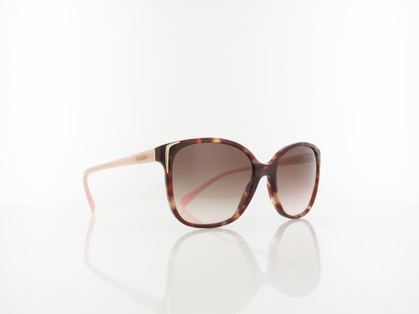 Prada | PR01OS UE00A6 55 | spotted brown pink / brown gradient