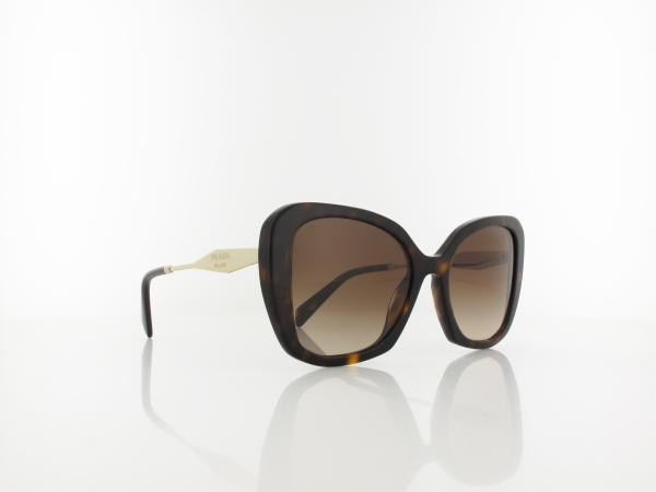 Prada | PR03YS 2AU6S1 53 | tortoise / brown gradient