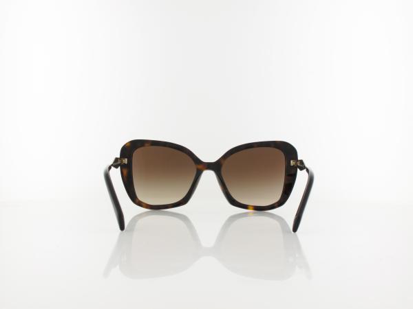 Prada | PR03YS 2AU6S1 53 | tortoise / brown gradient