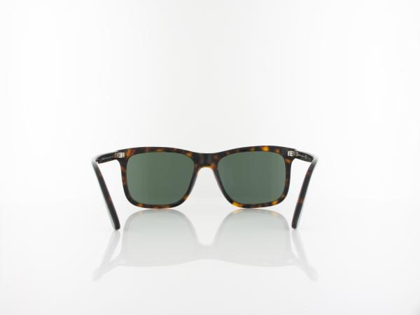 Prada | PR18WS 2AU0B0 56 | tortoise / green
