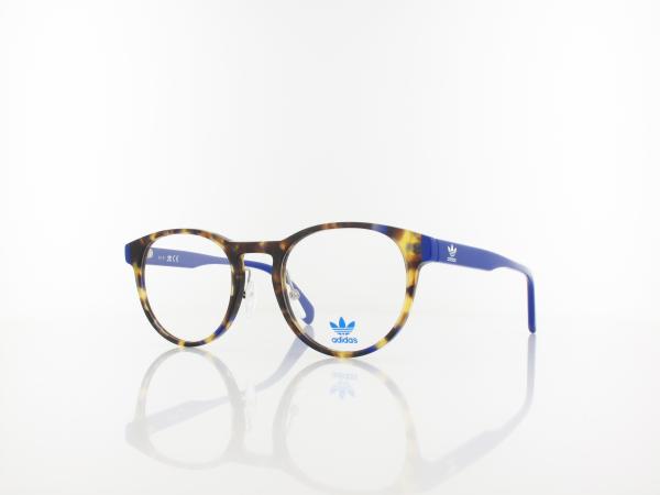 Adidas | OR5001-H 056 51 | havana