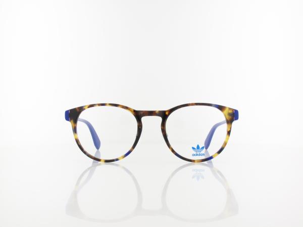 Adidas | OR5001-H 056 51 | havana