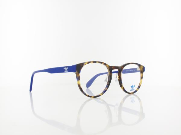 Adidas | OR5001-H 056 51 | havana