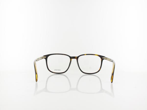 David Beckham | DB 1017 086 53 | dark havana
