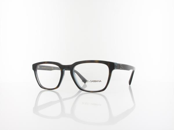 Dolce&Gabbana | DG3333 3209 54 | havana blue